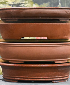 14″ – Unglazed Oval Bonsai Pots