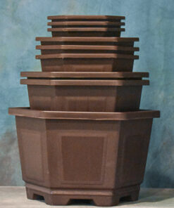 Plastic Bonsai Pots – Hexagon Series