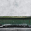 One of a Kind Cantonese Bonsai Pot 13 1/2″ x 7 1/4″