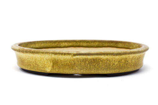Bonsai Pot by WALSALL STUDIOS, England 6 1/2″ x 5″