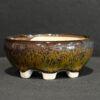 buy bonsai pots