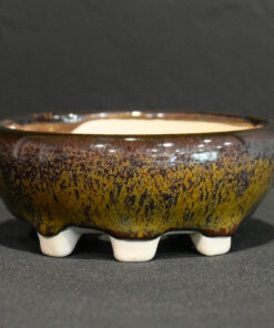 buy bonsai pots