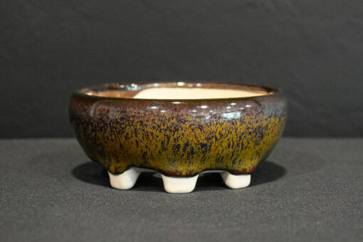 buy bonsai pots