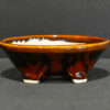 bonsai pots