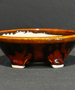 bonsai pots