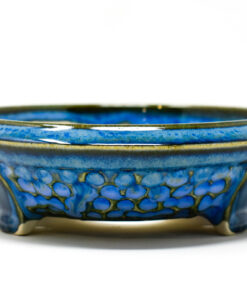 bonsai tree pot