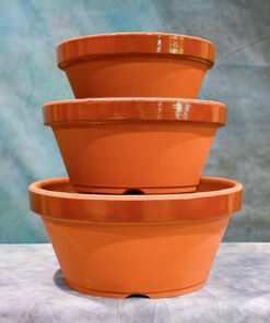 Japanese Training Pots by TOKONAME – Set of 3 Assorted Pots