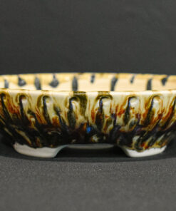pots for bonsai plants