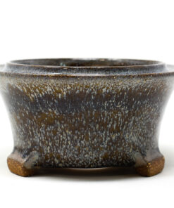 large bonsai pot​