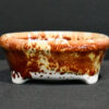 round bonsai pot