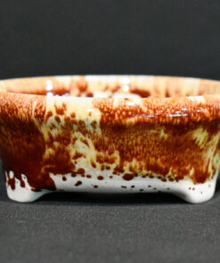 round bonsai pot