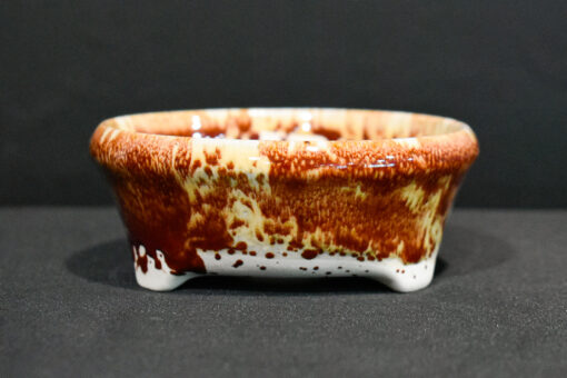 round bonsai pot