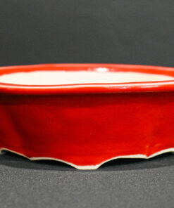 Austrian Bonsai Pot by HORST HEINZLREITER – 5 1/2″ x 4 3/4″