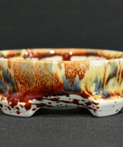 bonsai tree pot