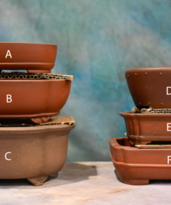 High Quality Unglazed Bonsai Pots – Shohin – 3″ to 5″