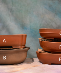High Quality Unglazed Bonsai Pots – Shohin – 5″ to 7″