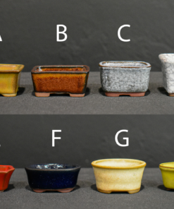 Japanese Bonsai Pots by BUNZAN (SETO) – 2″