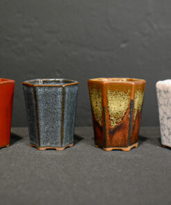 South African Bonsai Pots by WILLOW BONSAI – Mame Hexagon