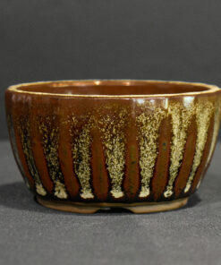 South African Bonsai Pot by WILLOW BONSAI – 3 1/4″