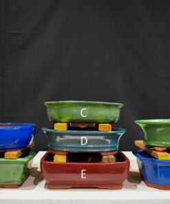 12″ – Glazed Bonsai Pots