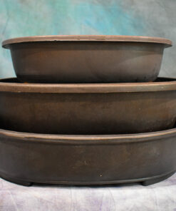 Mica Bonsai Pots (OVG/OVF) Miscellaneous Oval