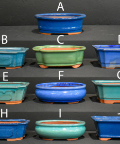 8″ – Glazed Bonsai Pots