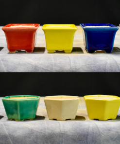3″ – Glazed Bonsai Pots