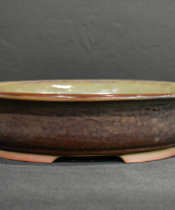 South African Bonsai Pot by WILLOW BONSAI – 9 1/4″ x 7″