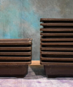 Mica Bonsai Pot (REB) Rectangle Series – Sets of 5 or 10