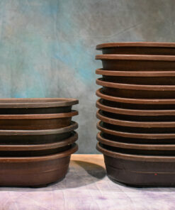 Mica Bonsai Pots (OVA) Oval Series – Sets of 5 or 10