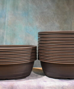 Plastic Bonsai Pots – Oval Series – Sets of 5 or 10