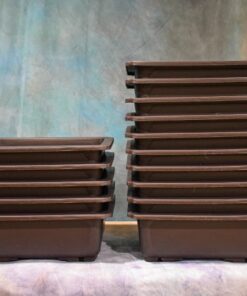 Plastic Bonsai Pots – Rectangle Series – Sets of 5 or 10