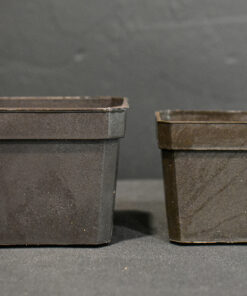Plastic Training Pots – Under 3″ – Single Pots & Sets