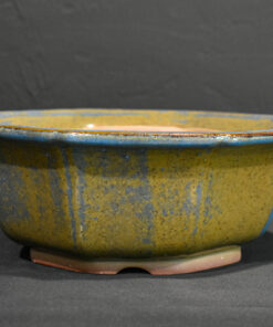 South African Bonsai Pot by WILLOW BONSAI – 9 1/4″