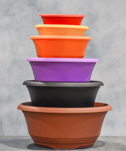 Plastic Training Pots – Pöppelmann – Single Pots & Sets