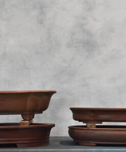 16″ – Unglazed Ovals or Lotus Bonsai Pots