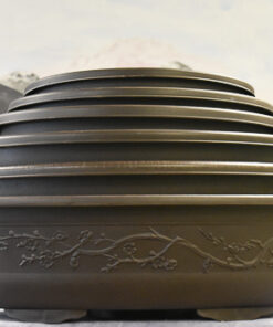 Plastic Bonsai Pots – Oval Series